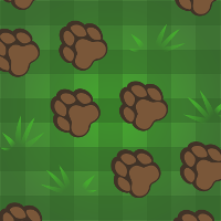 Jungle Paw Prints