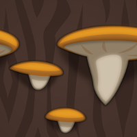Potion-Shelf Fungus