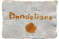Dandelions – Cover